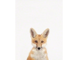 The Animal Print Shop Baby Fox